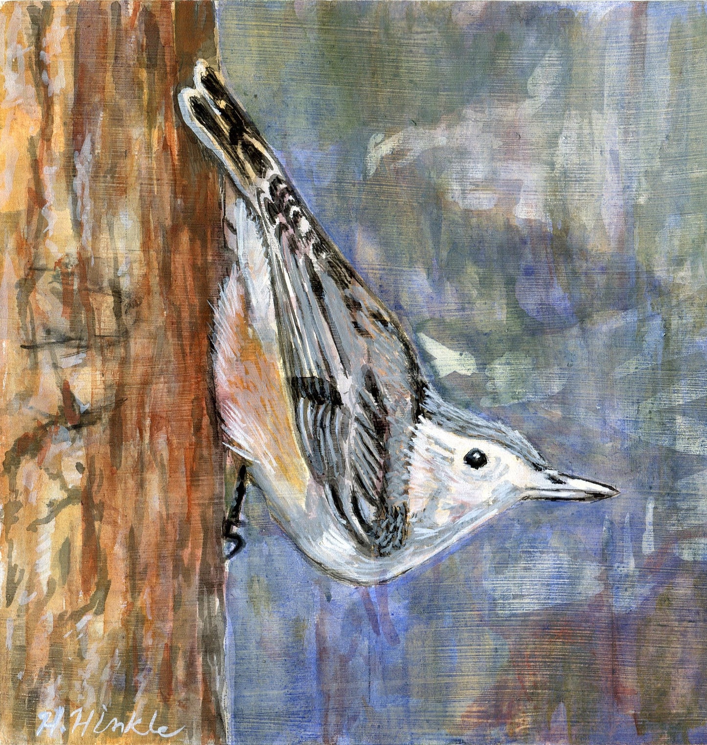 Nuthatch art print