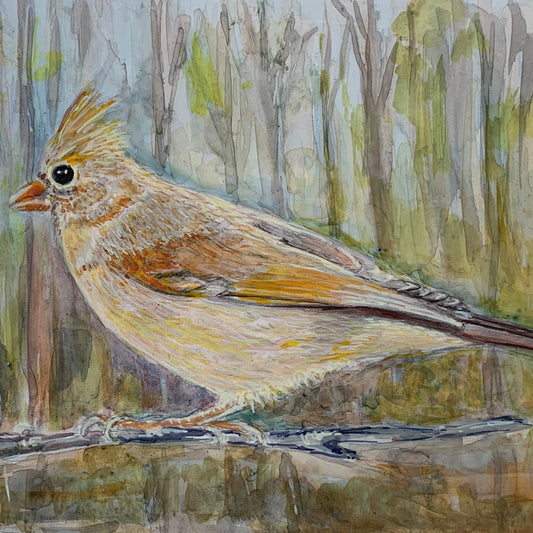 Egg tempera painting of a female cardinal with woods backdrop