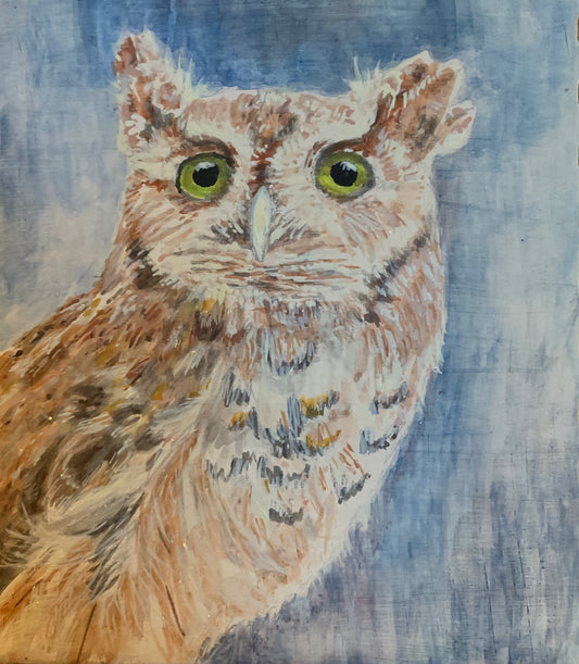 Screech Owl Art Print