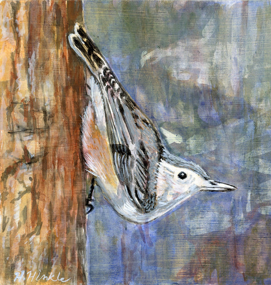 Nuthatch art print